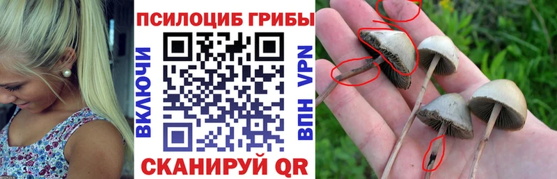 Галлюциногенные грибы Magic Shrooms  хочу   Асбест 
