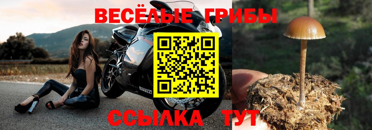 закладки  Галлюциногенные грибы мицелий  Асбест  Галлюциногенные грибы GOLDEN TEACHER 